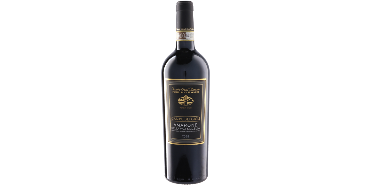 カンポ・デイ・ジーリ アマローネ・デッラ・ヴァルポリチェッラ